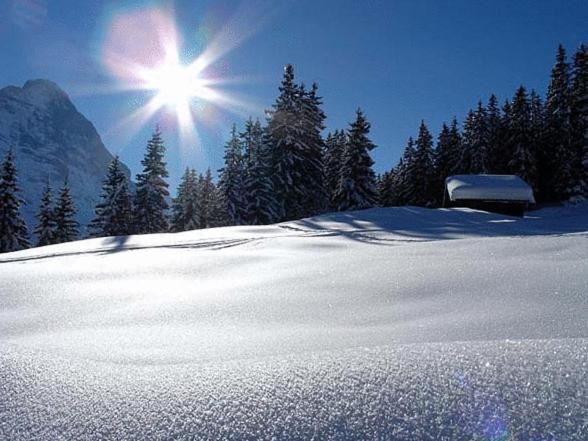 Hotel Steinbock Grindelwald Esterno foto
